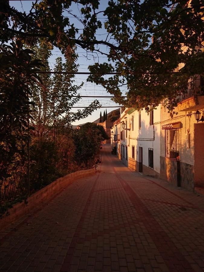 הוילה Lecrin Un Balcon A Sierra Nevada מראה חיצוני תמונה